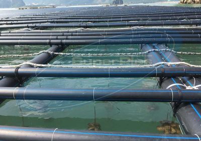 Lồng bè nuôi trồng thủy hải sản từ ống nhựa HDPE SuperPlas