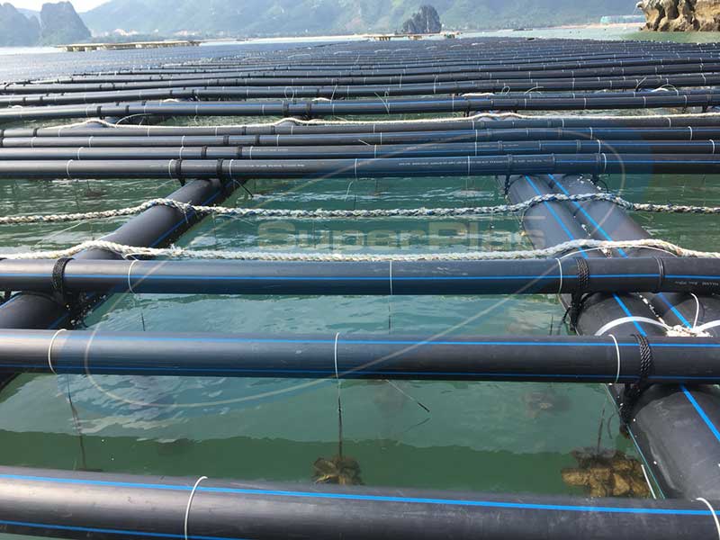Lồng bè nuôi trồng thủy hải sản từ ống nhựa HDPE SuperPlas