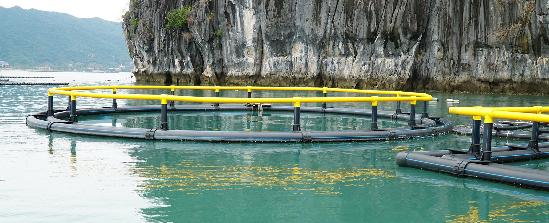 Lồng nhựa HDPE nuôi cá, nuôi trồng thủy sản hiện nay được ứng dụng rất rộng rãi tại các tỉnh ven biển