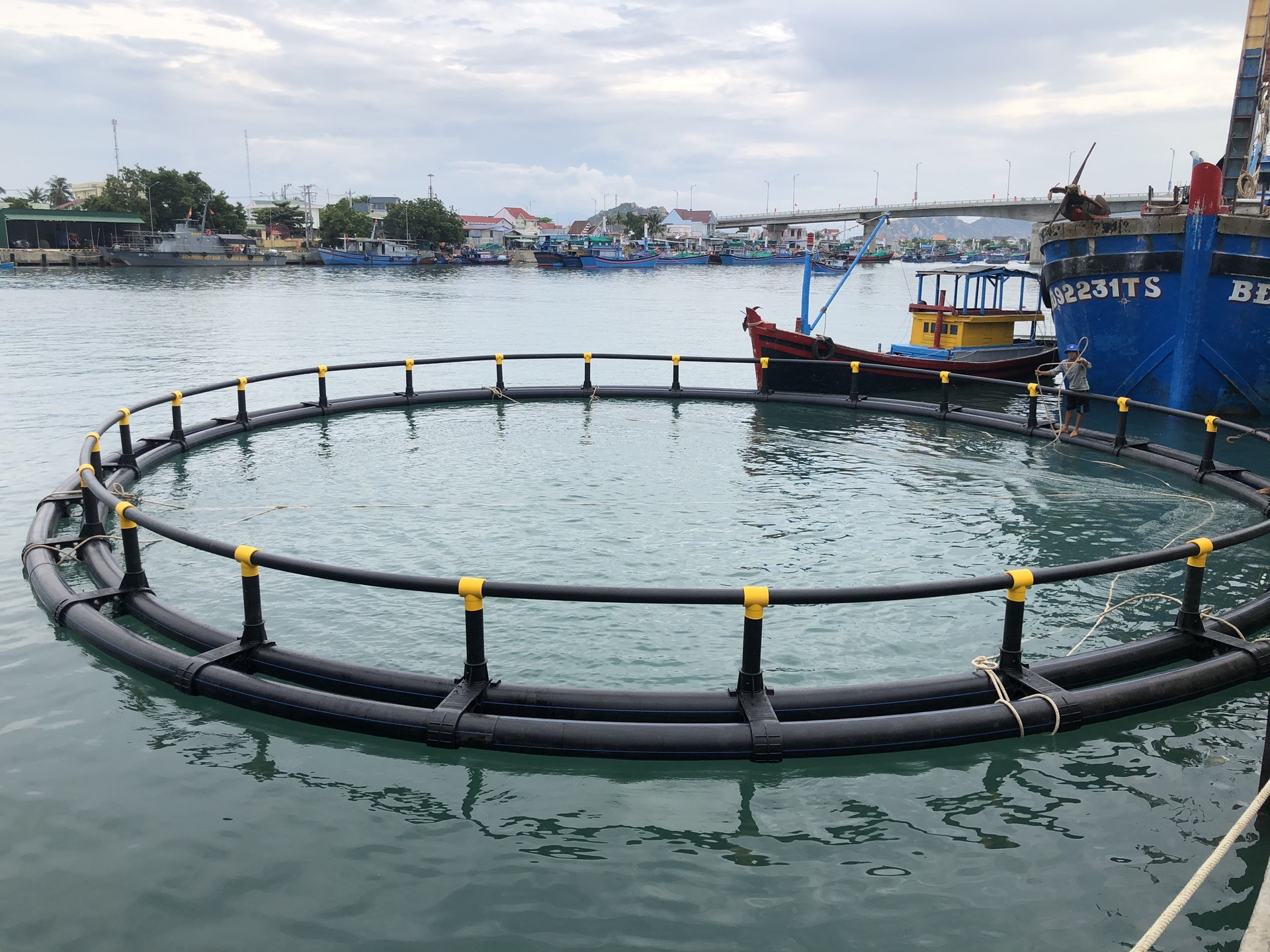 Lồng bè HDPE đem lại giá trị sản xuất cao cho người nuôi trồng hải sản